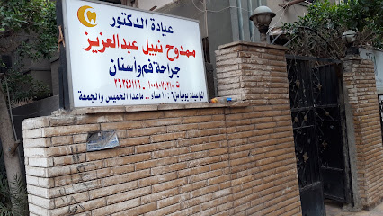 Mamdouh Nabil Abdelaziz