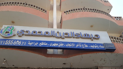 بهاء الدين المحمدى