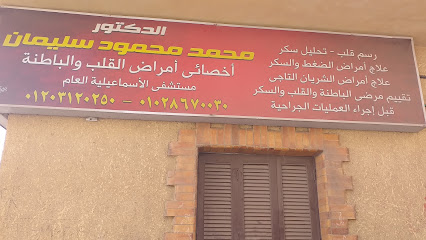 Mohamed Mahmoud Soliman