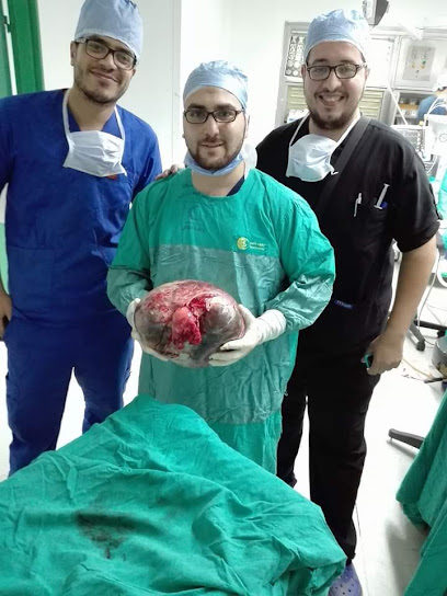 احمد العزايزى