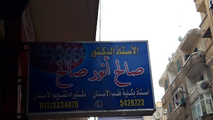 صالح أنور صالح