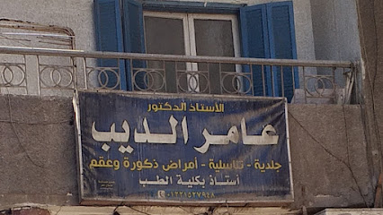 الأستاذ الدكتورعامر الديب