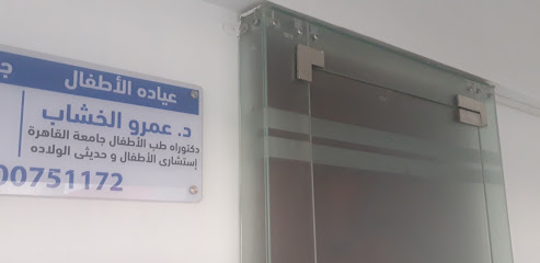 عمرو الخشاب