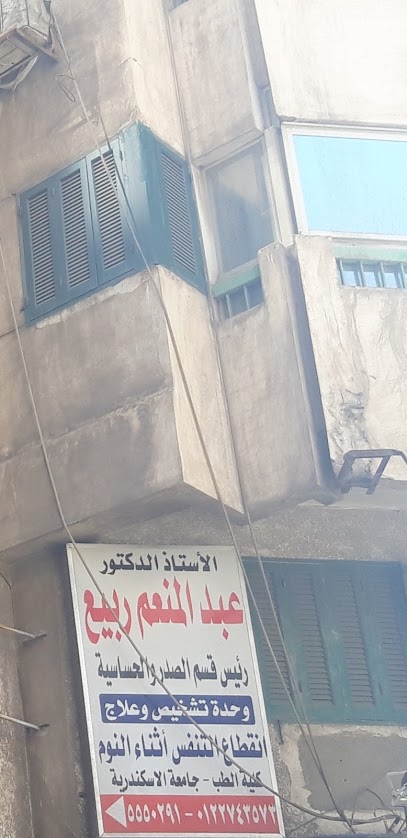 عبد المنعم كامل ربيع