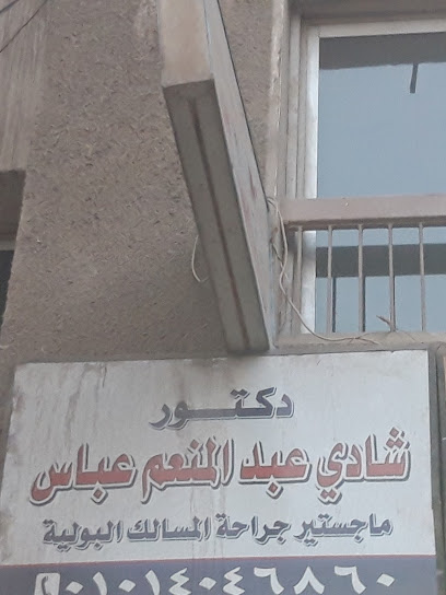Shady Abdelmoneim Abas
