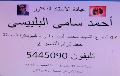 Ahmed Samy El-Blysy