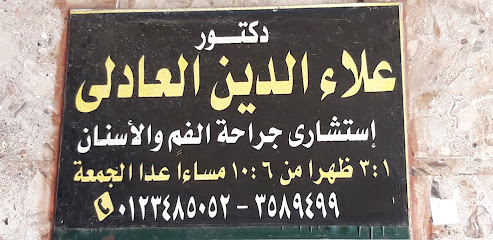 علاء الدين العادلى