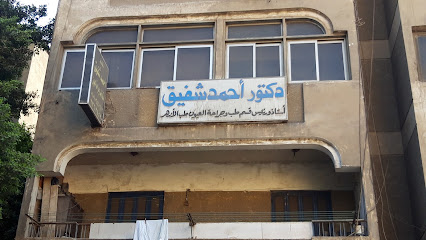Ahmed Shfyk