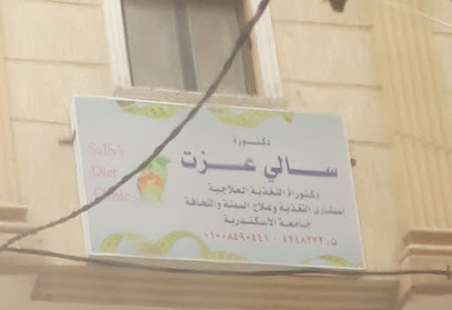 سالى عزت