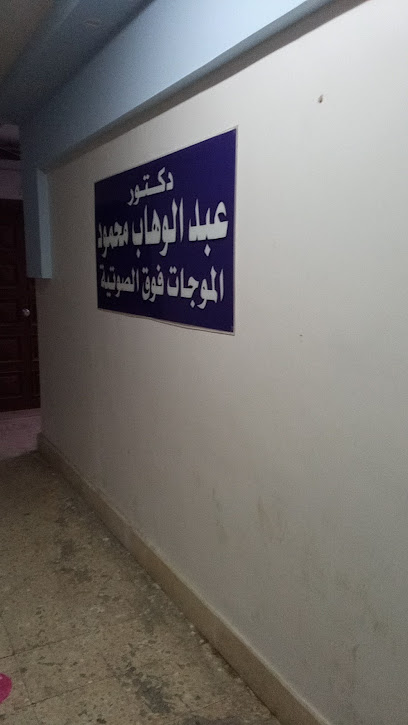 Abdelwahab Mahmoud