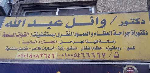 وائل عبد الله