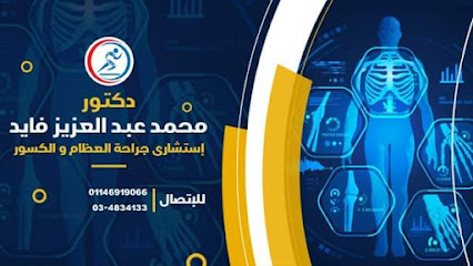 محمد عبد العزيز فايد