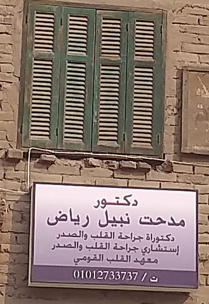 Medhat Nabil Ryad
