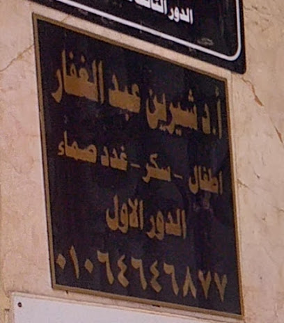 شيرين عبد الغفار