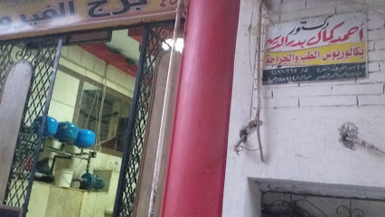 أحمد كمال بدر الدين