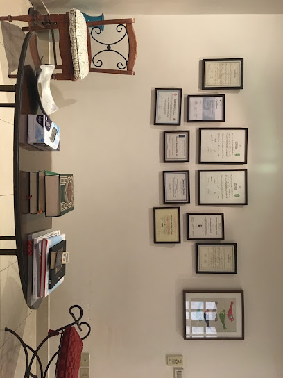 Dr Shehab El Din Saber