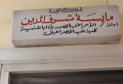 مايسة شرف الدين