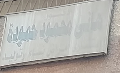 Hany Mahmoud Hmwdh