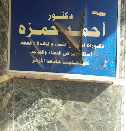 أحمد حمزه