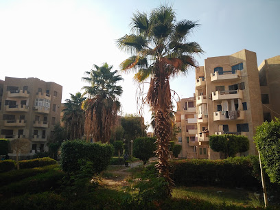 الحي الحادي عشر