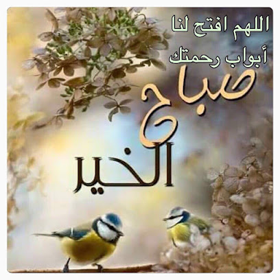 كمال ابو شنب كفر الشيخ