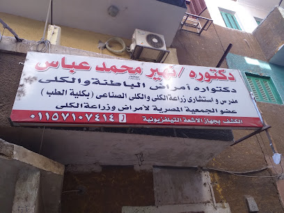 نهير محمد عباس