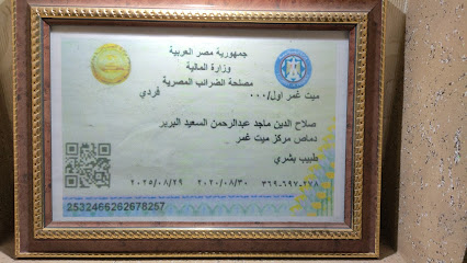 Salah Maged