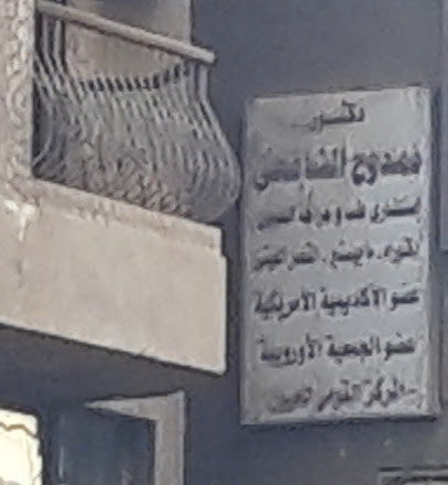 Mamdouh El Shafei