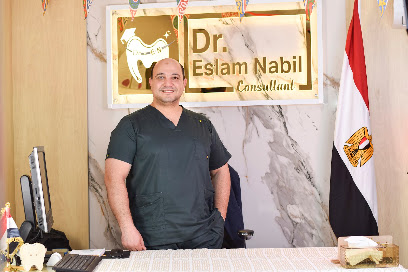 Aslam Nabil