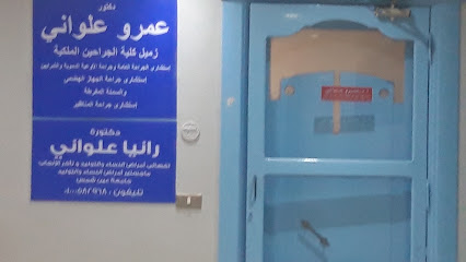 عمرو علواني