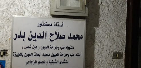 محمد صلاح الدين بدر
