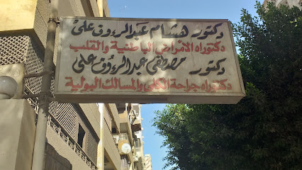 هشام عبد الروؤف على