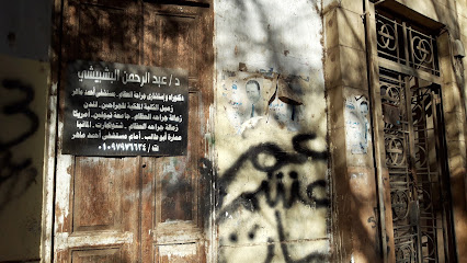 Abdelrahman El-Bshbyshy