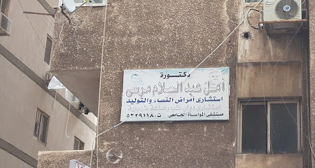 Amal Abdelsalam Morsy