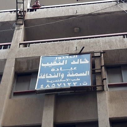 Khaled El-Nkyb