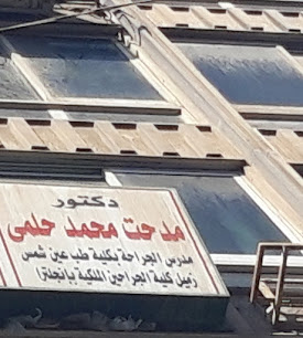 مدحت محمد حلمى
