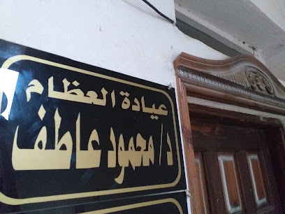 محمود عاطف