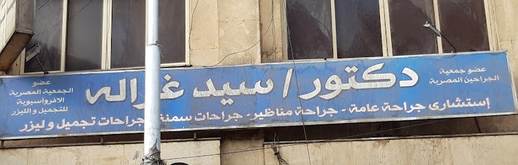 Sayed Ghzalh
