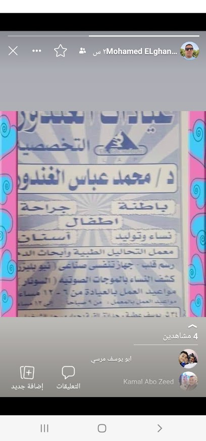 محمد عباس الغندور