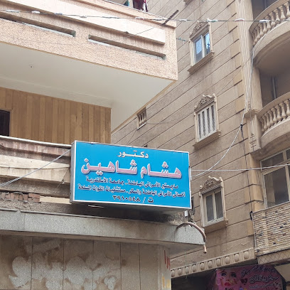 هشام شاهين