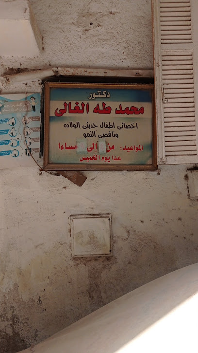 Mohamed Taha El-Ghaly