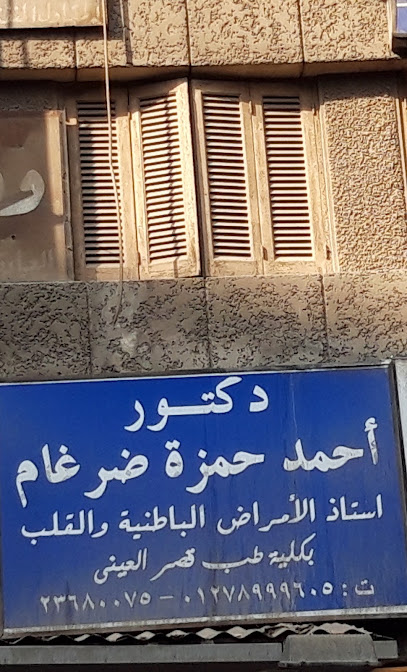 أحمد حمزة ضرغام