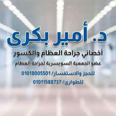 أمير بكري
