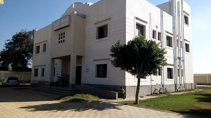 علي حسن فهمي