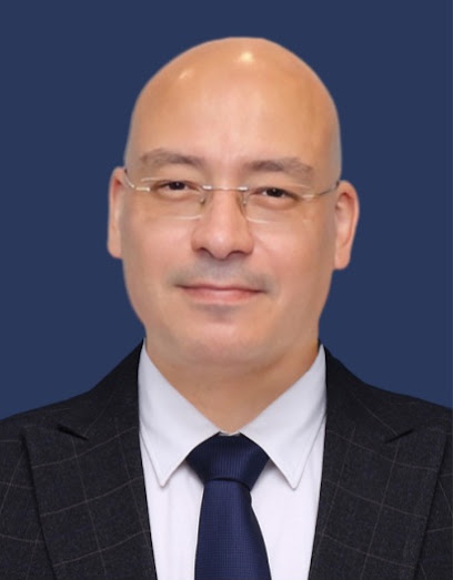 Mahmoud El-Kady