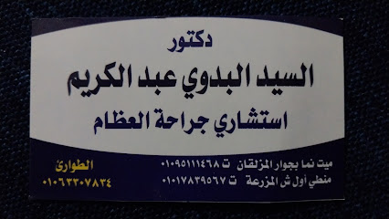 السيد البدوى