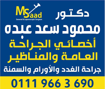 محمود سعد عبده