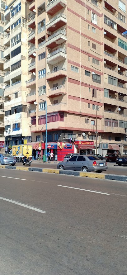 عزة حسنى
