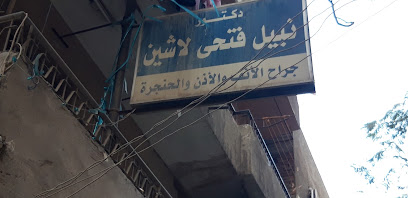 نبيل فتحى لاشين