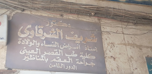 Sherif El-Shrkawy